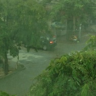 And the rainy season continues!