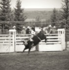Went to the rodeo this year. Top an you believe this crazy stuff happens just 2blocks from my house. Lol